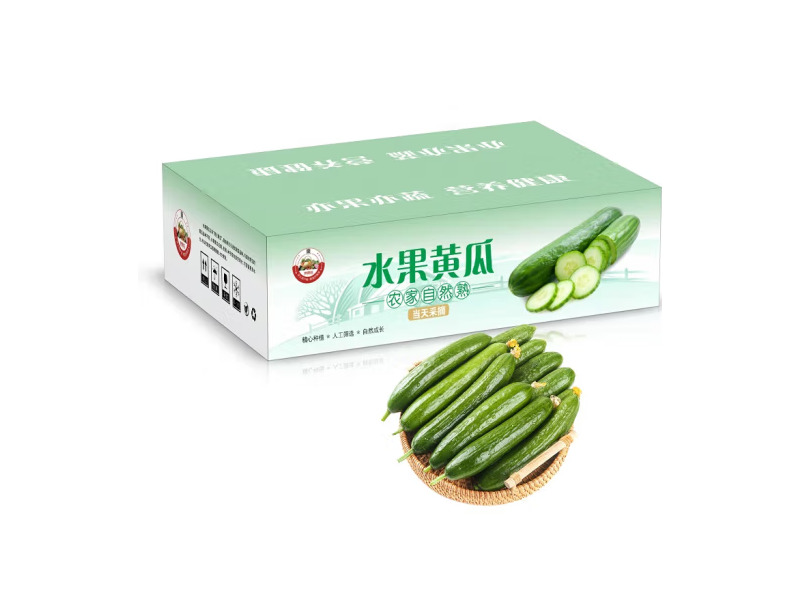 小黃瓜青瓜新鮮水果蔬菜健康輕食 嚴選5斤裝